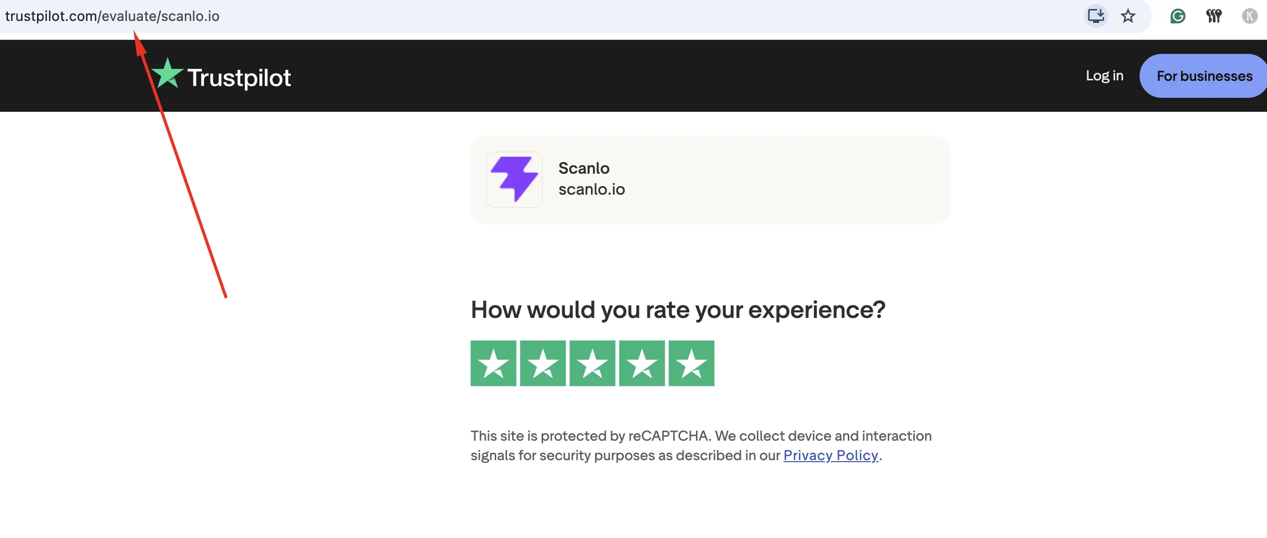 Where Can I Leave Trustpilot Review